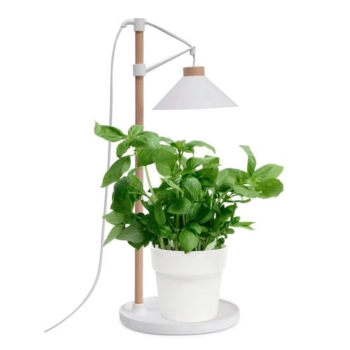 Garden Home Grown Grow Table Lamp Large